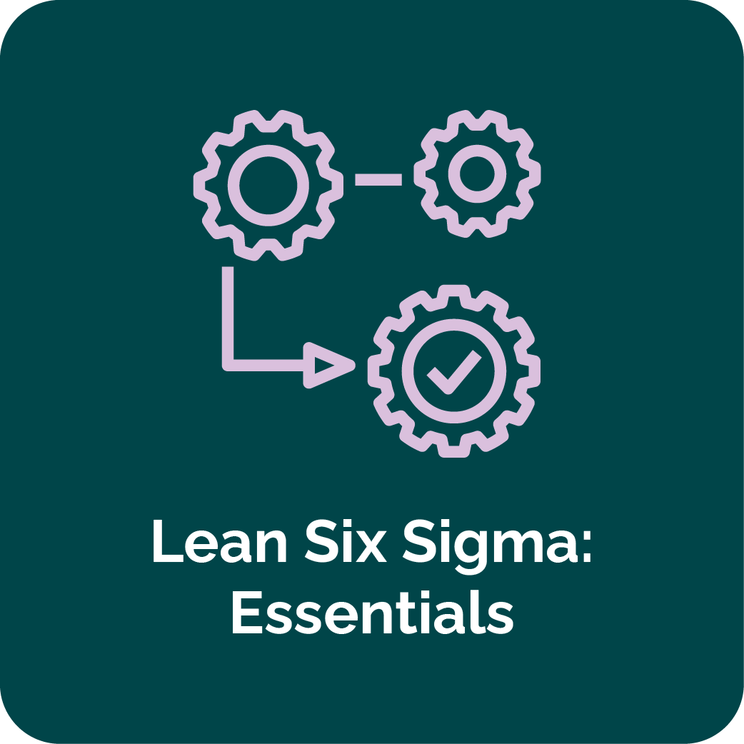 Lean Six Sigma Essentials